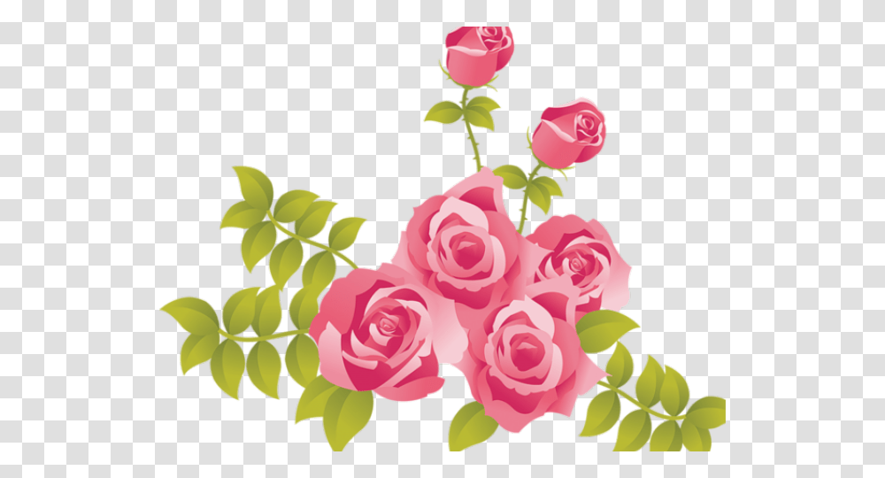Pink Floral Clipart Pink Roses Clipart, Flower, Plant, Blossom Transparent Png