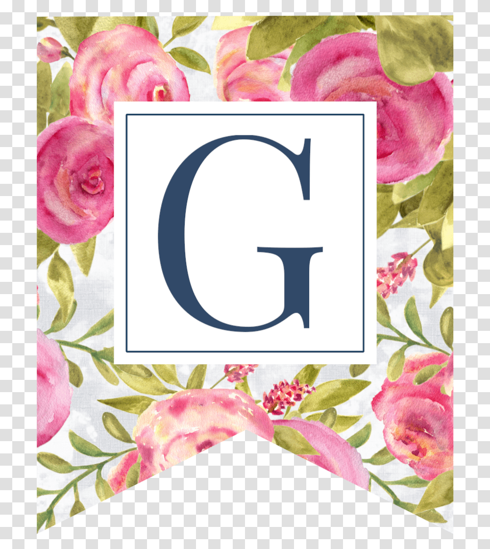 Pink Floral Rose Banner Flag With G In White Box Garden Roses, Plant, Flower, Petal, Floral Design Transparent Png