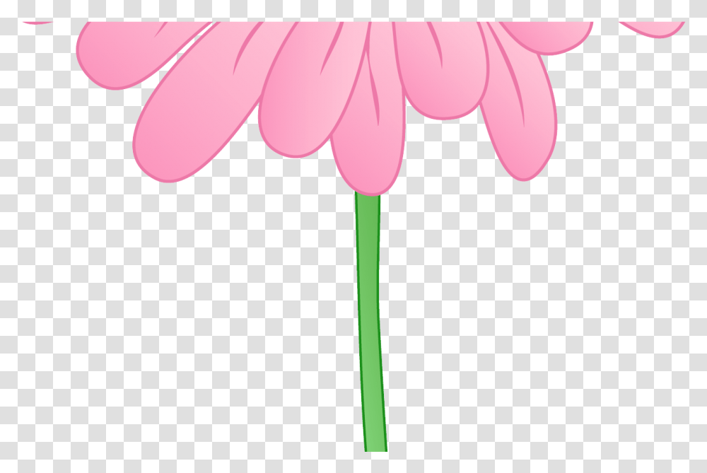 Pink Flower Border Clipart Clipart Panda Free Clipart, Plant, Daisy, Daisies, Blossom Transparent Png