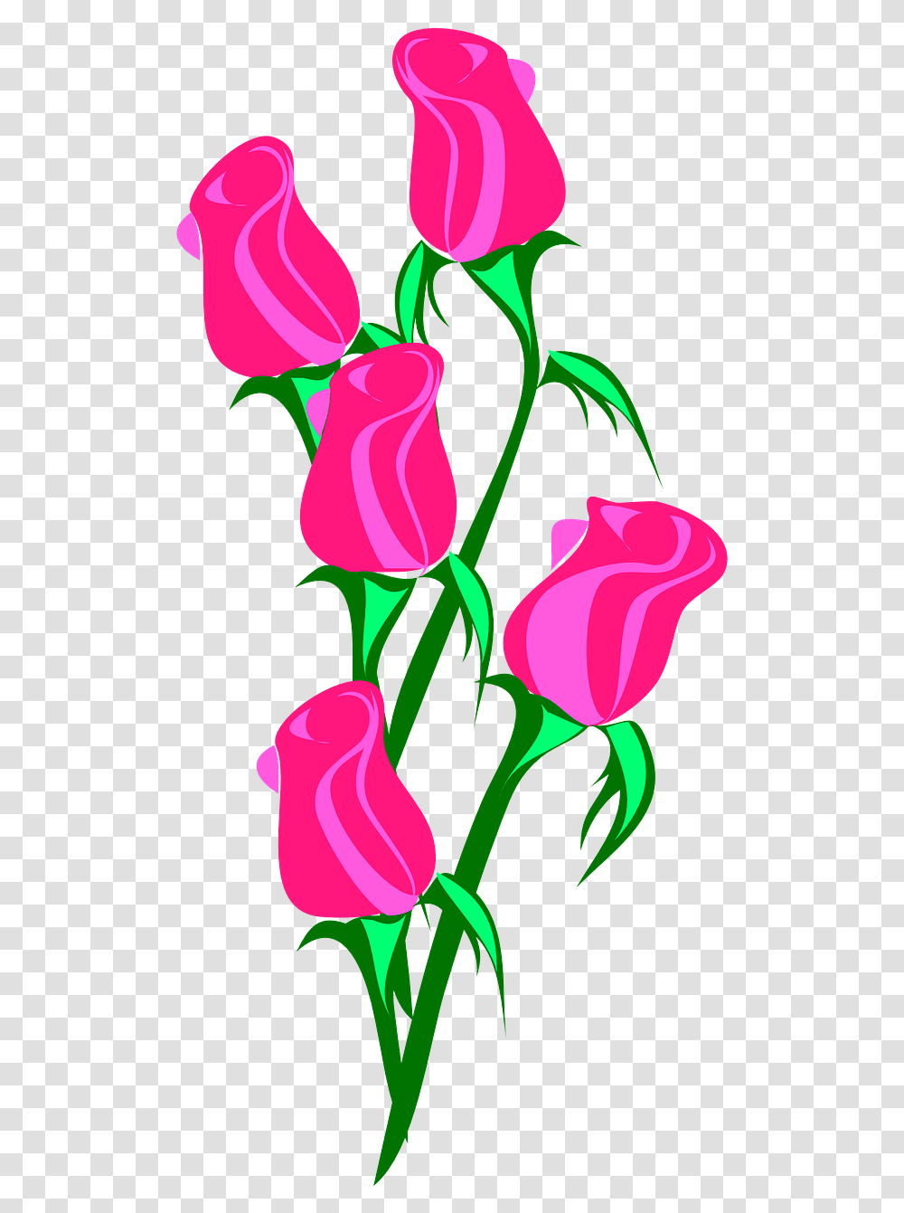Pink Flower Cartoon, Plant, Blossom, Rose, Petal Transparent Png