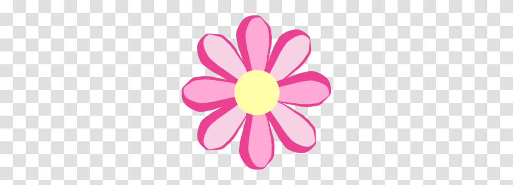 Pink Flower Clip Art, Daisy, Plant, Daisies, Blossom Transparent Png