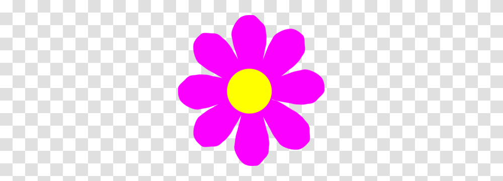 Pink Flower Clip Art, Light, Daisy, Petal, Purple Transparent Png