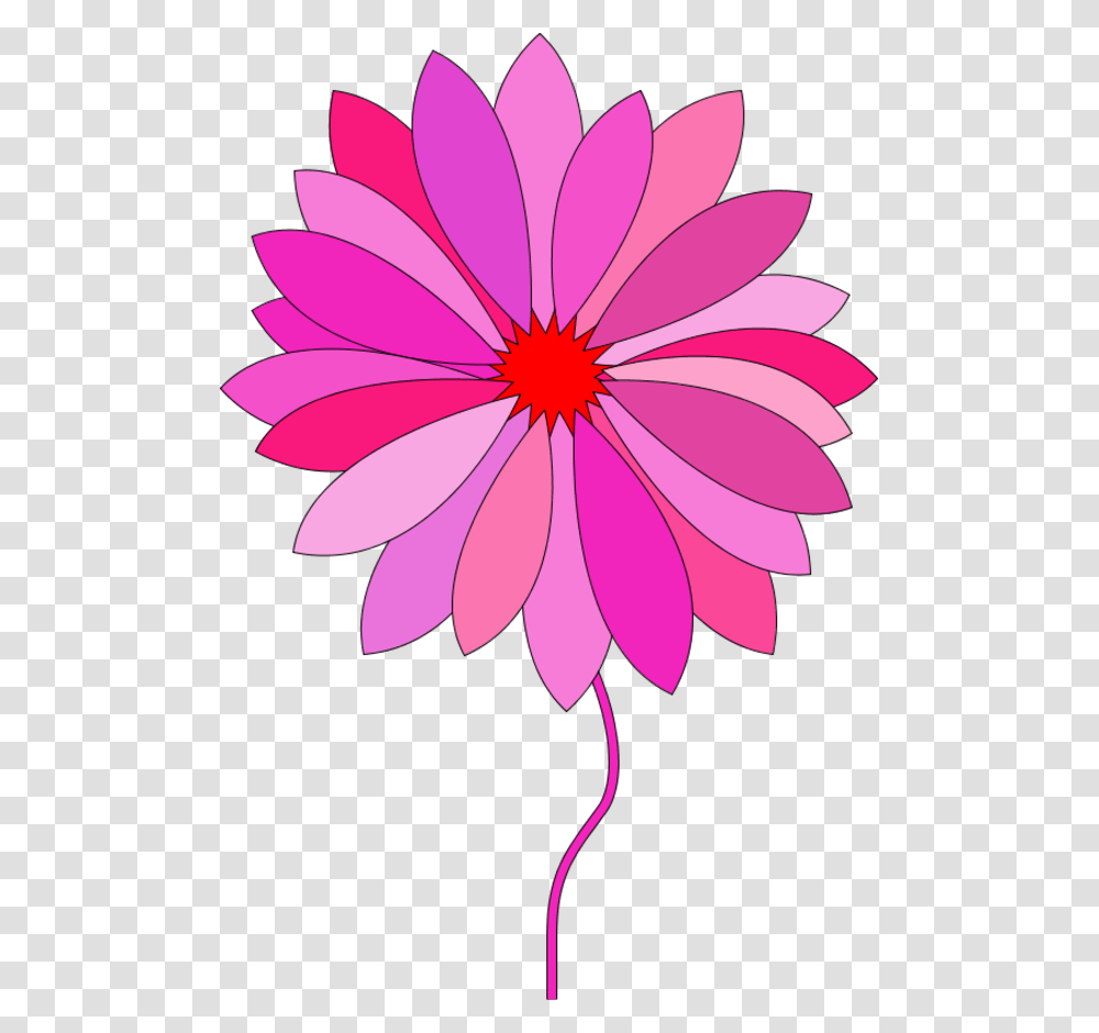 Pink Flower Clip Art, Plant, Petal, Blossom, Daisy Transparent Png