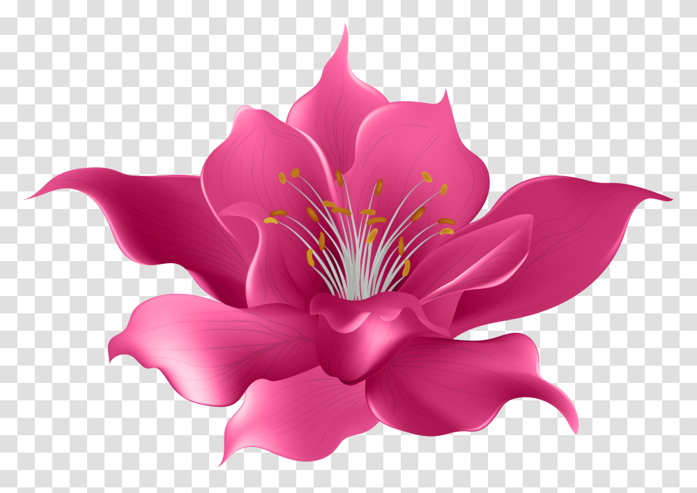 Pink Flower Clip Art Transparent Png