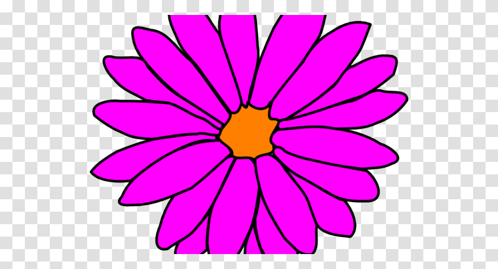 Pink Flower Clipart Girly Flower, Petal, Plant, Blossom, Daisy Transparent Png
