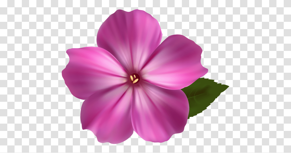 Pink Flower Clipart Image En 2020 Realistic Flower Clip Art, Geranium, Plant, Blossom, Petal Transparent Png