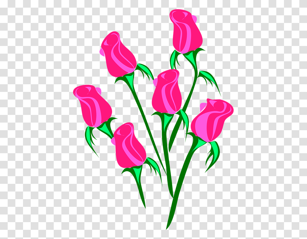 Pink Flower Clipart Real Rose, Plant, Blossom, Petal, Tulip Transparent Png