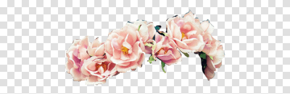 Pink Flower Crown Images - Free Pink Flower Crown, Plant, Blossom, Petal, Geranium Transparent Png