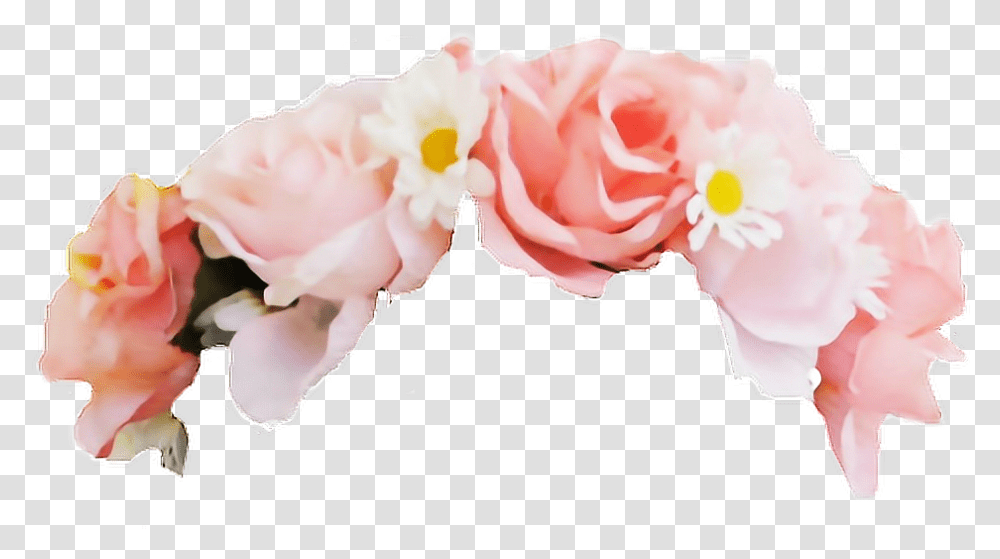 Pink Flower Crown, Plant, Blossom, Peony, Carnation Transparent Png
