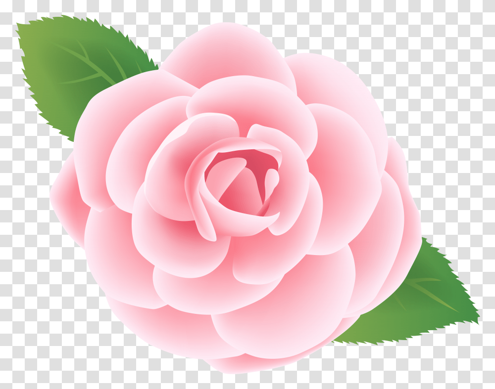 Pink Flower Deco Clip Art Image Transparent Png