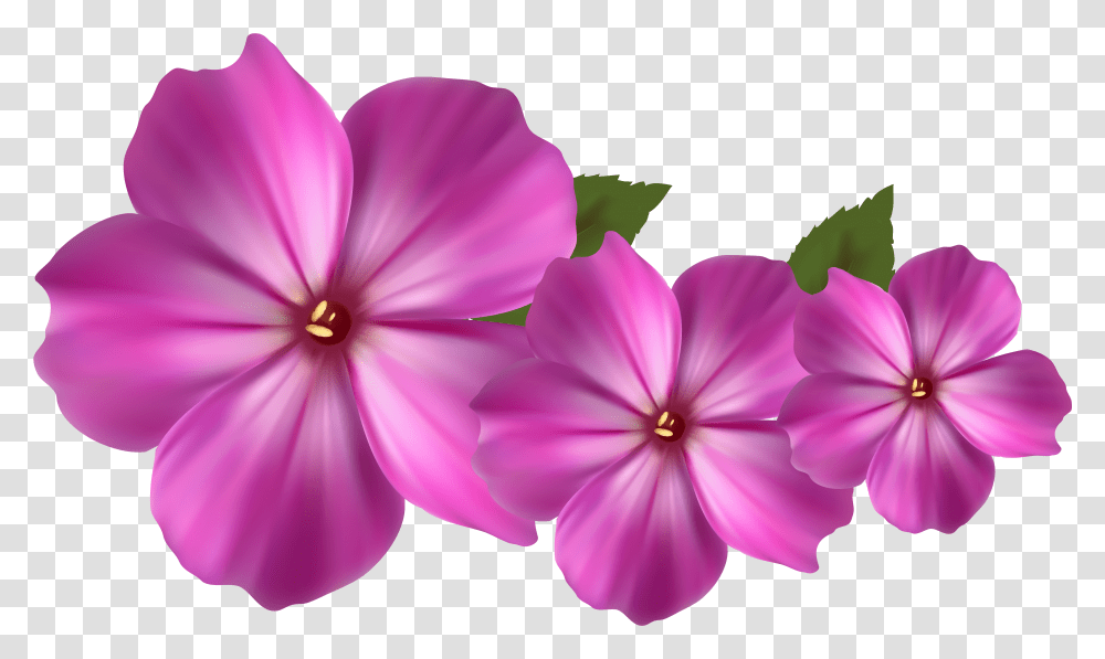 Pink Flower Decor Purple Pink Flower Clipart Transparent Png