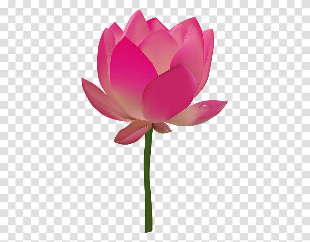 Pink Flower Emoji Flower Clipart Background, Plant, Petal, Blossom, Rose Transparent Png