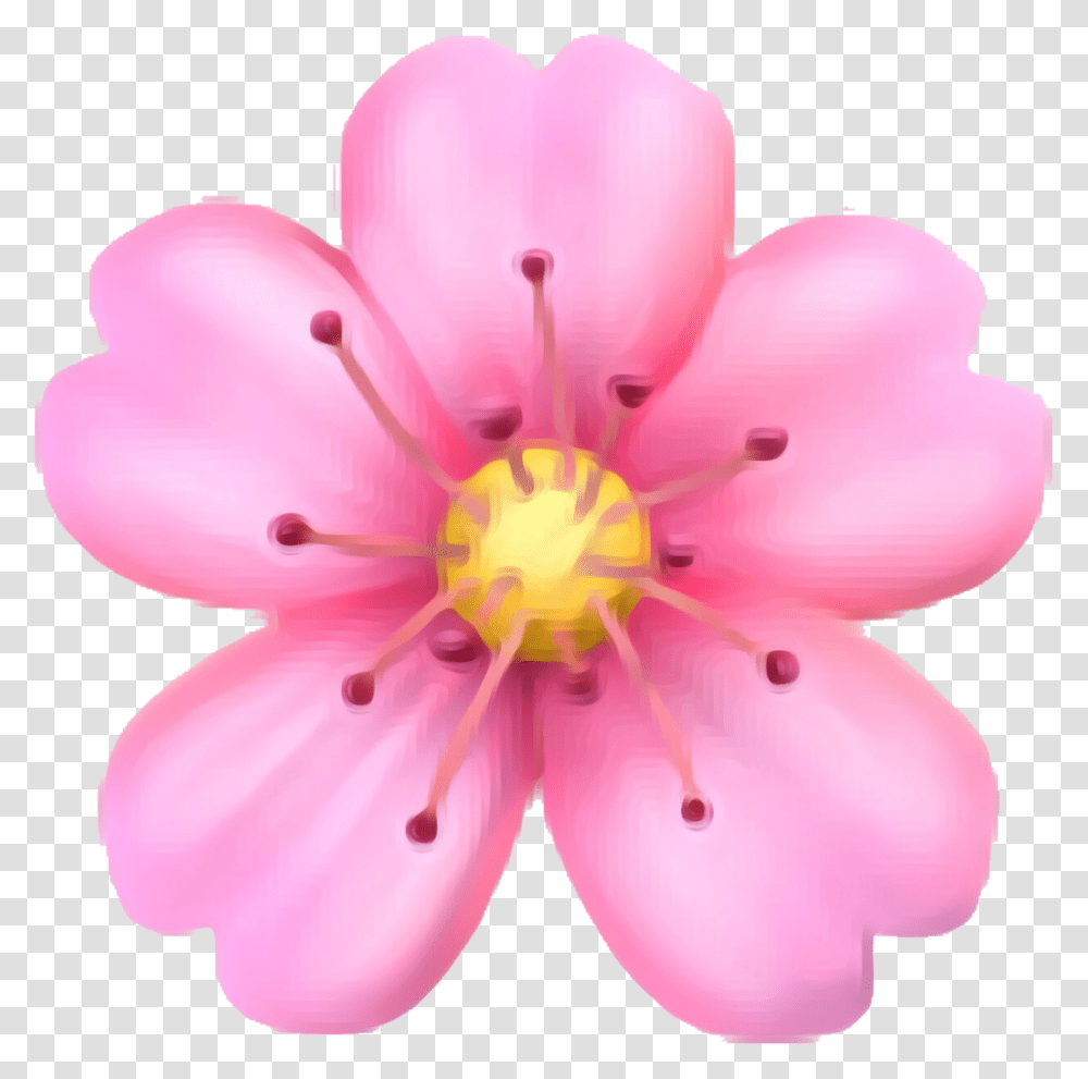 Pink Flower Emoji, Plant, Blossom, Anther, Geranium Transparent Png