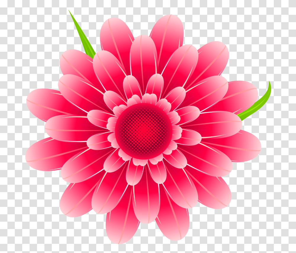 Pink Flower Free Download Searchpng Background Pink Flower Clip Art, Plant, Dahlia, Blossom, Daisy Transparent Png