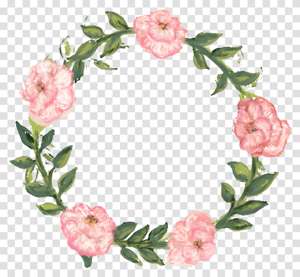 Pink Flower Gif, Plant, Blossom, Rose, Carnation Transparent Png