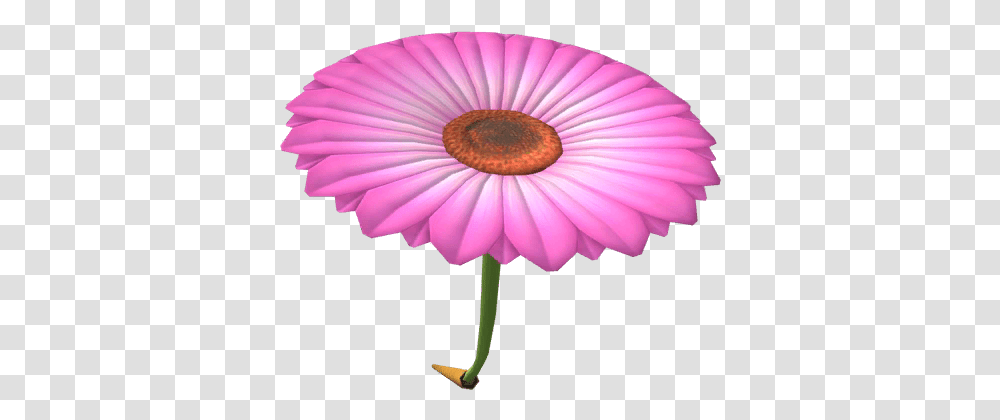 Pink Flower Glider Super Mario Wiki The Mario Encyclopedia Girly, Plant, Blossom, Petal, Daisy Transparent Png