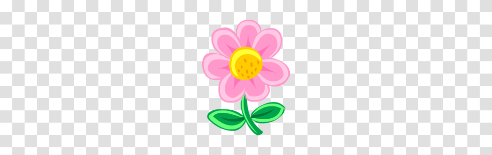 Pink Flower Icon Nature Iconset Fast Icon Design, Plant, Blossom, Dahlia, Daisy Transparent Png