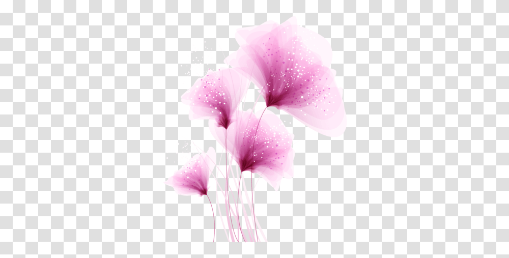 Pink Flower Image Free Download Searchpng Iris, Plant, Blossom, Petal, Geranium Transparent Png