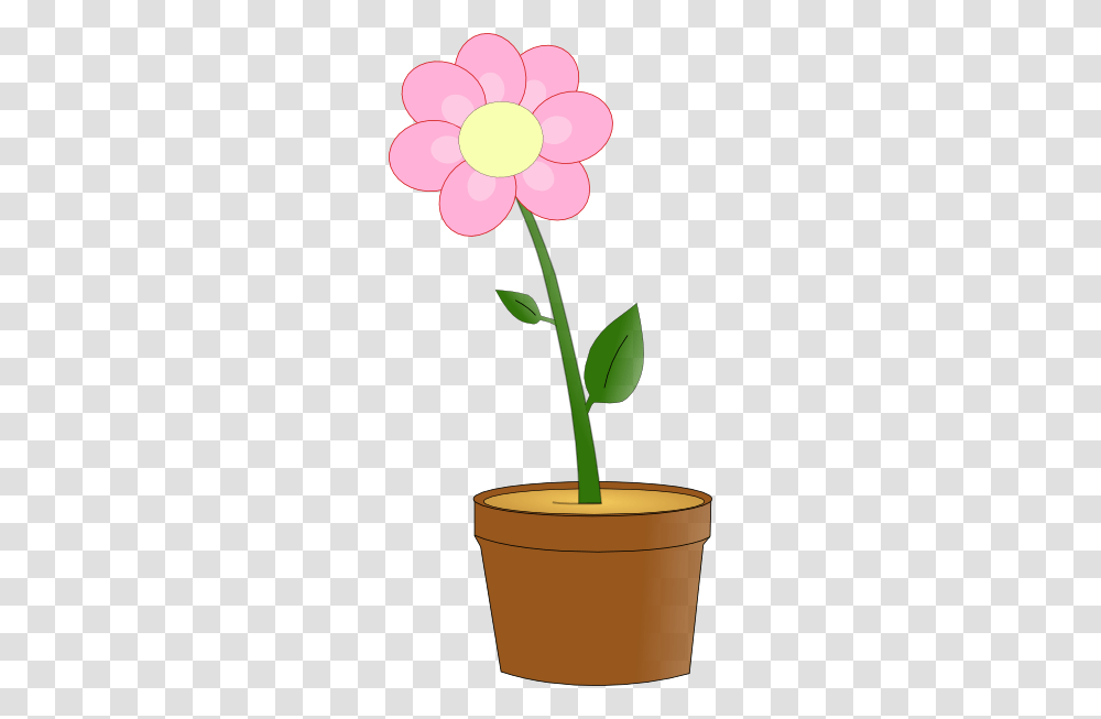 Pink Flower In Pot Clip Art For Web, Plant, Blossom, Geranium, Lamp Transparent Png