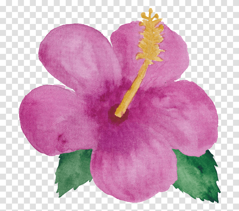 Pink Flower Little Princess Watercolor Little Flowers, Plant, Blossom, Geranium, Hibiscus Transparent Png