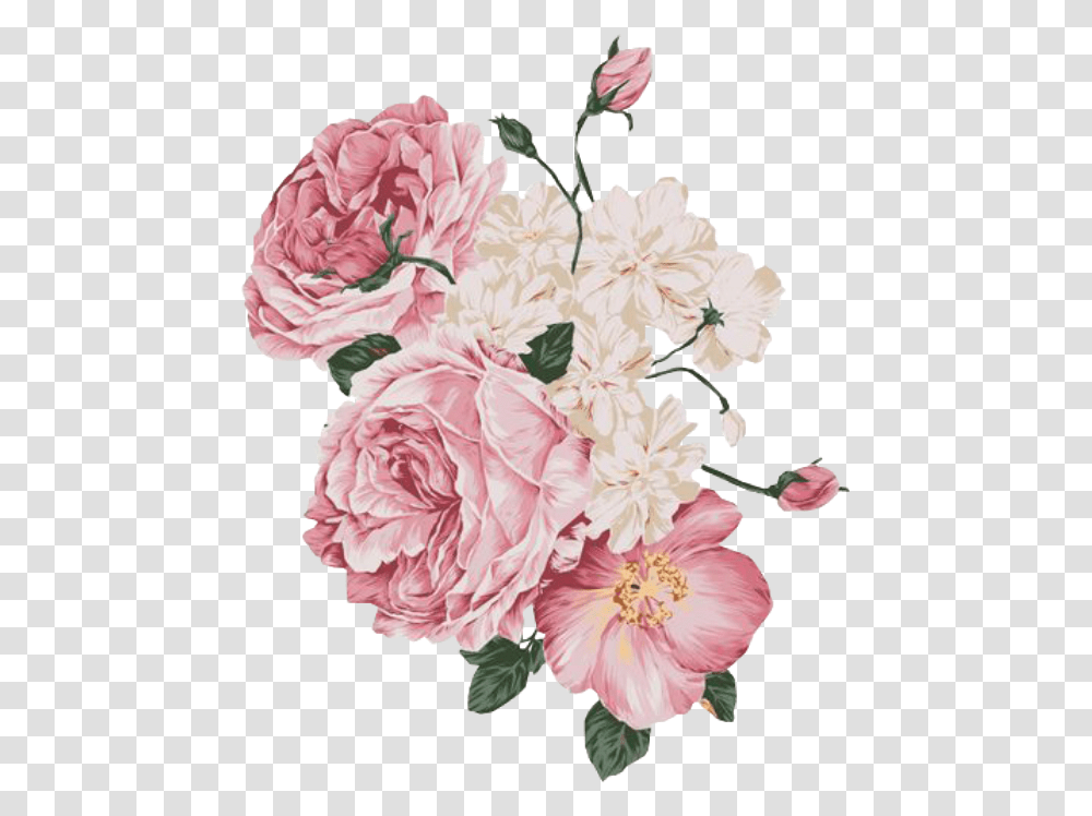 Pink Flower Overlay, Plant, Blossom, Carnation, Peony Transparent Png