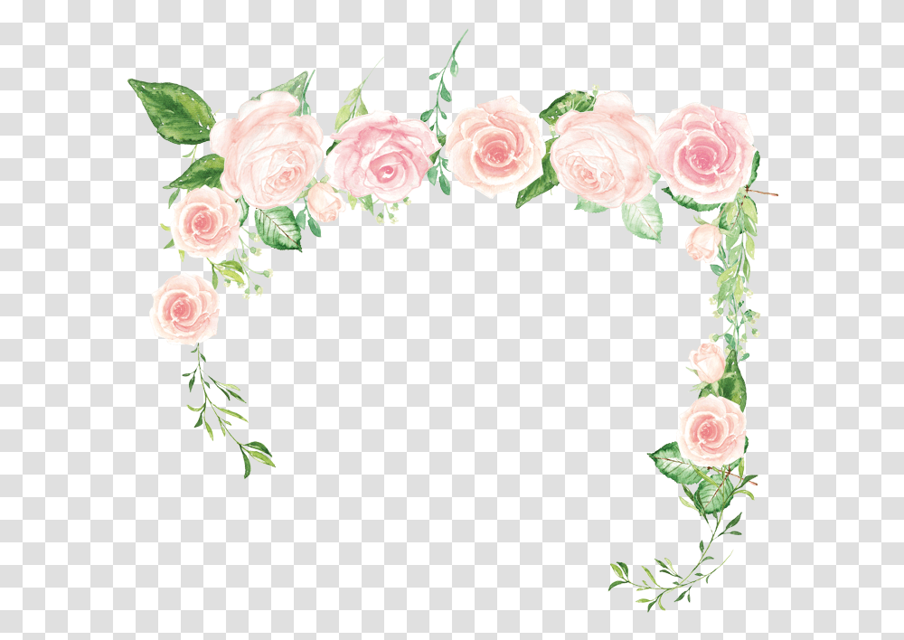 Pink Flower Rose Green Rose Border Download 800800 Hybrid Tea Rose, Graphics, Art, Floral Design, Pattern Transparent Png