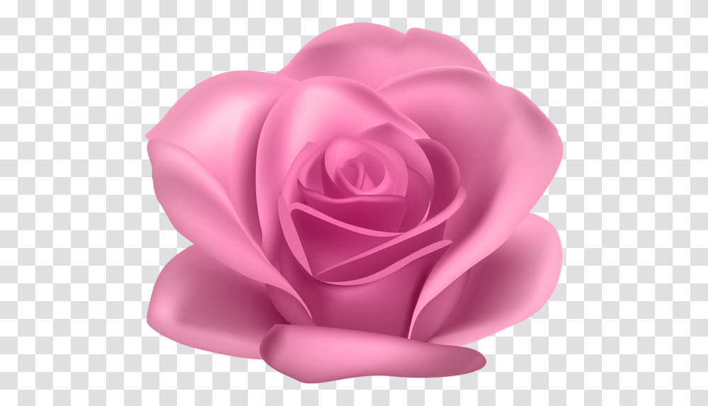 Pink Flower Rose Image Gallery Yopriceville Garden Roses, Plant, Blossom, Petal, Dahlia Transparent Png