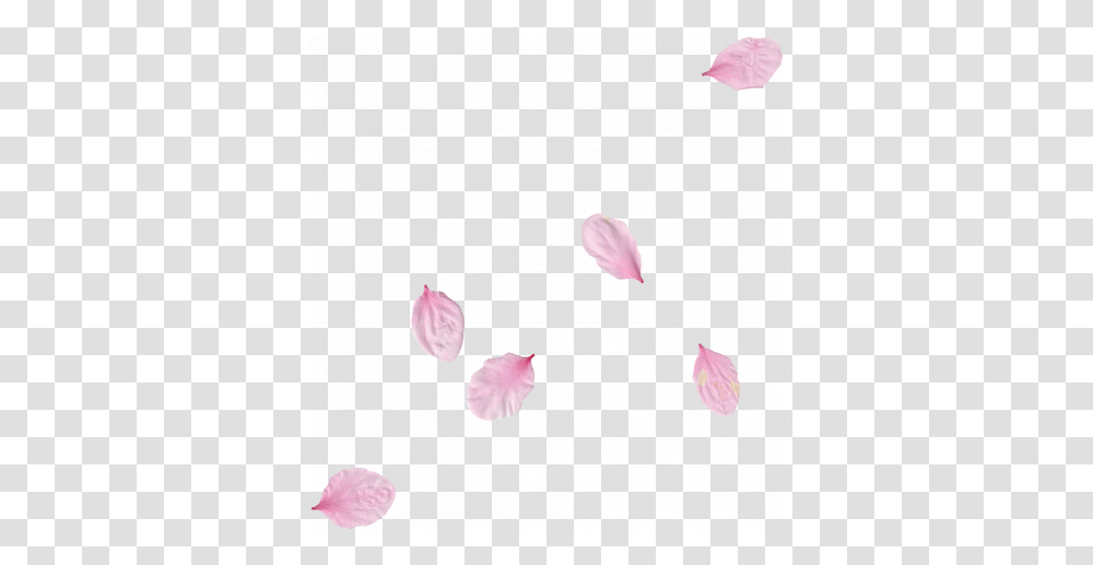Pink Flower Scatter 01 Graphic By Gina Jones Pixel Girly, Petal, Plant, Blossom Transparent Png