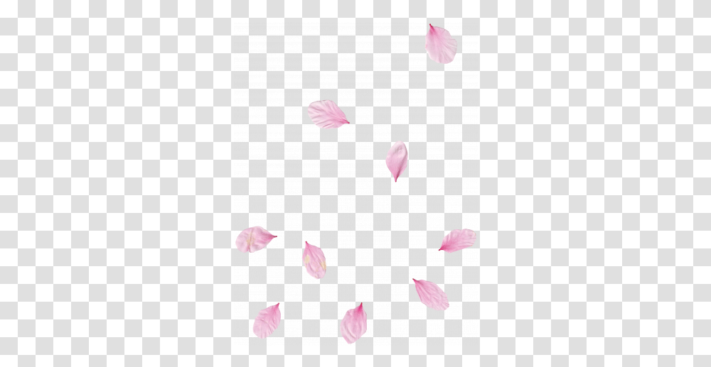 Pink Flower Scatter 02 Graphic By Gina Jones Pixel Girly, Petal, Plant, Blossom Transparent Png