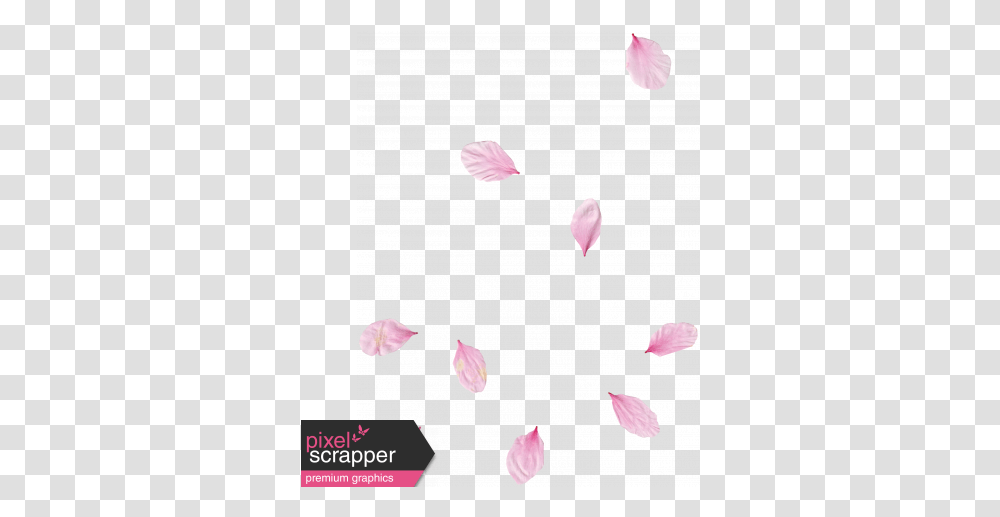 Pink Flower Scatter 02 Graphic By Gina Jones Pixel Heart, Petal, Plant, Blossom Transparent Png