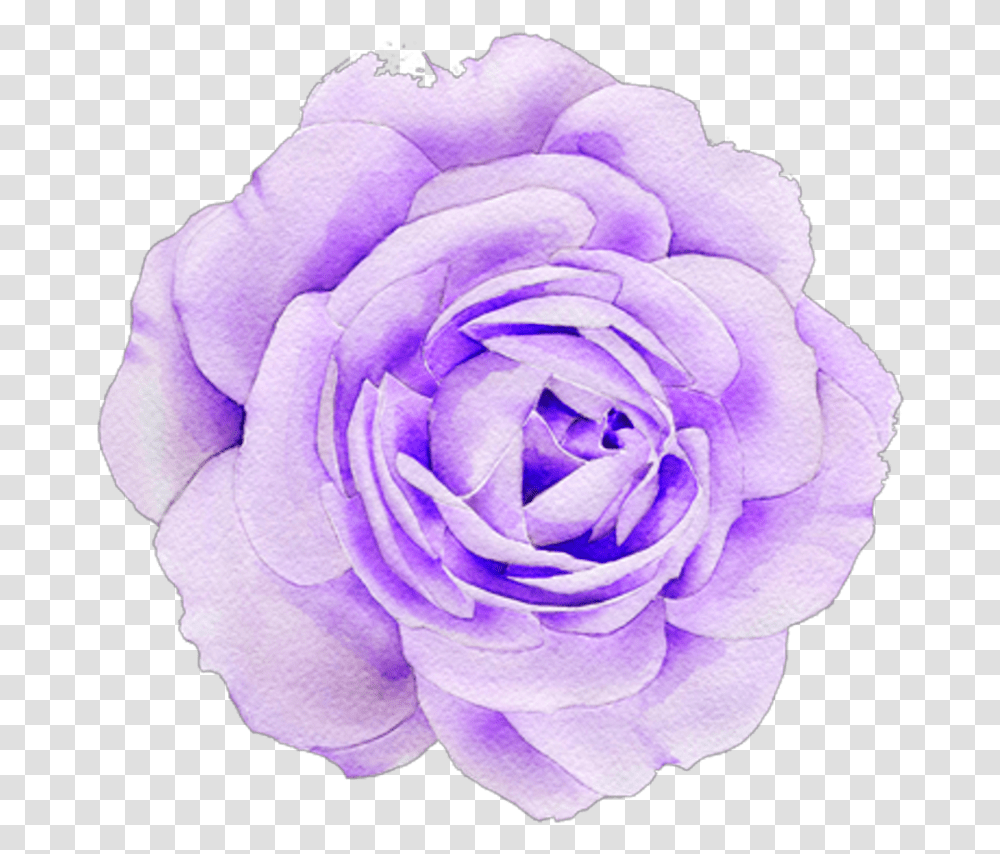 Pink Flower Tumblr Purple Flowers Aesthetic Stickers, Rose, Plant, Blossom, Petal Transparent Png