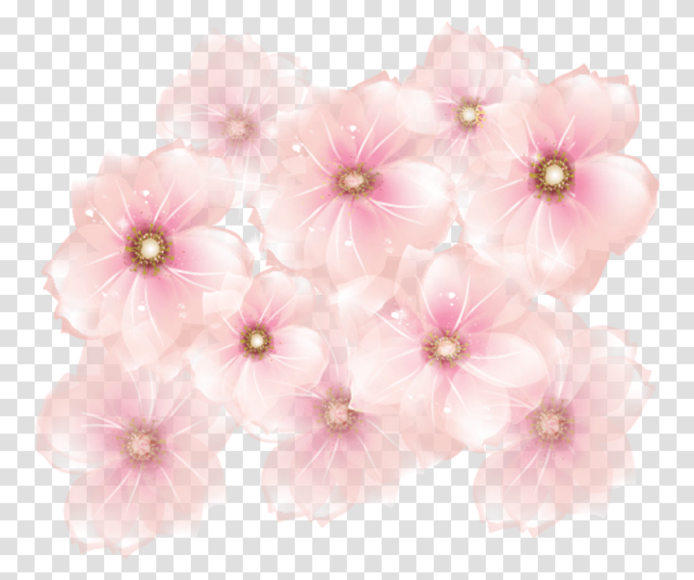 Pink Flowers Background Pink Flower, Plant, Blossom, Petal, Geranium Transparent Png