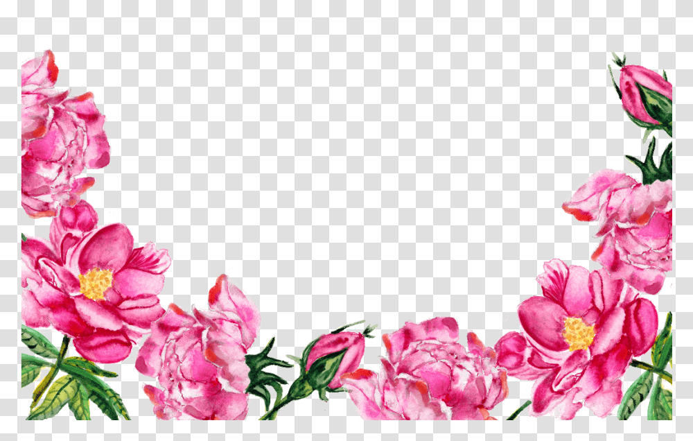 Pink Flowers Bottom Clipart Download Flower Border Pink, Plant, Blossom, Geranium, Rose Transparent Png