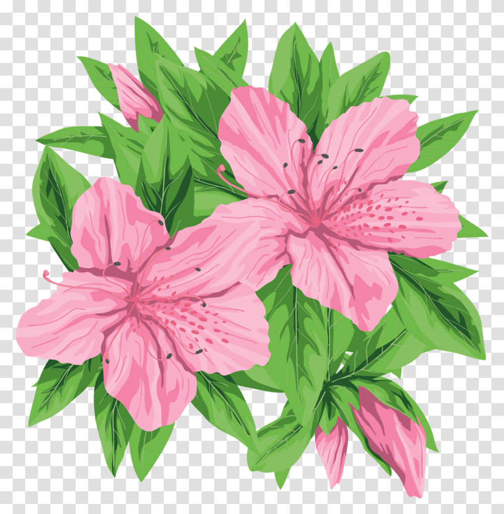 Pink Flowers Clip Pink And Green Flower Clipart, Plant, Blossom, Hibiscus, Geranium Transparent Png