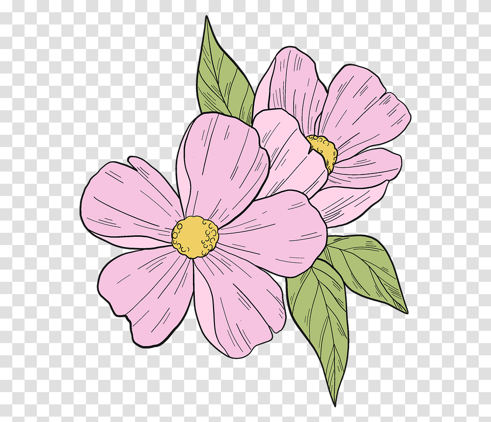 Pink Flowers Clipart Free Download Creazilla Flowers Clipart, Plant, Blossom, Petal, Anther Transparent Png