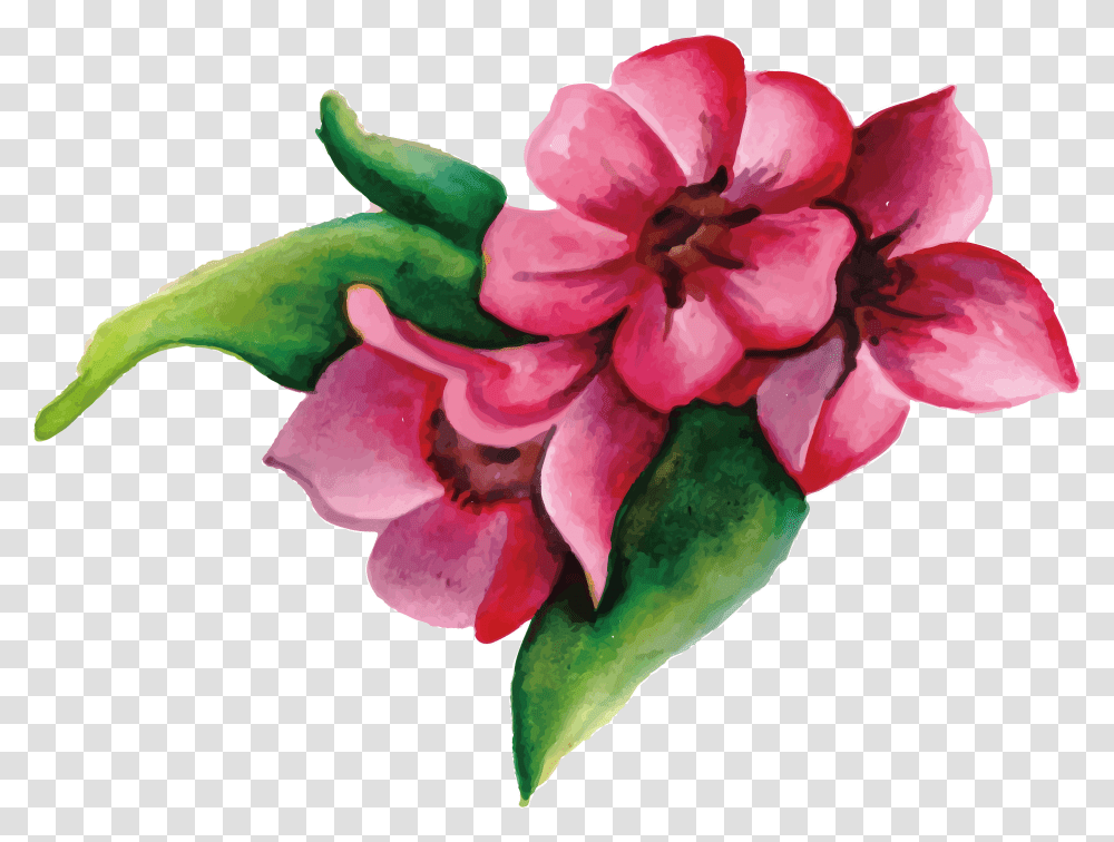 Pink Flowers Download Painted, Plant, Geranium, Blossom, Flower Arrangement Transparent Png