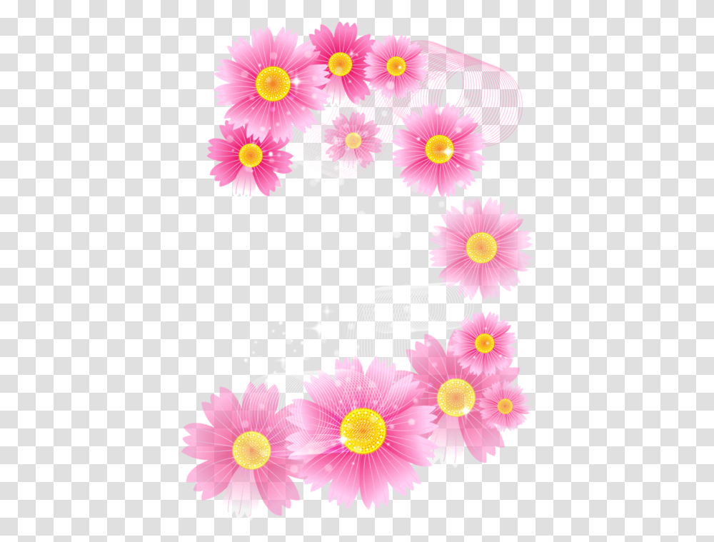 Pink Flowers Full, Plant, Daisy Transparent Png