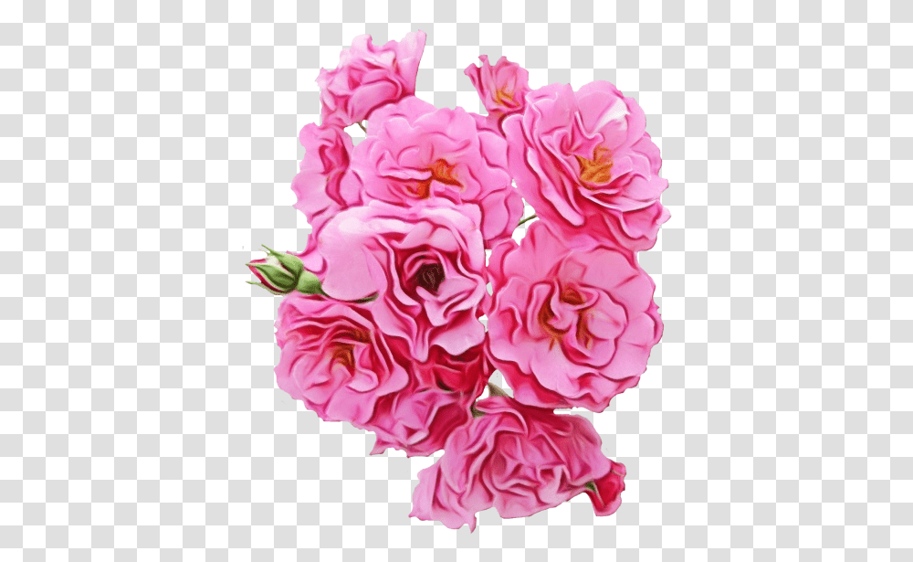 Pink Flowers Garden Roses Peony Download 500601 Pink Flowers, Plant, Blossom, Carnation, Geranium Transparent Png