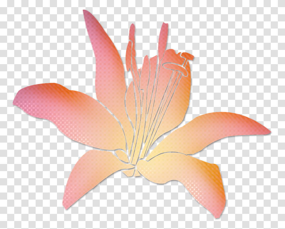 Pink Flowers Lily, Plant, Blossom, Bird, Animal Transparent Png