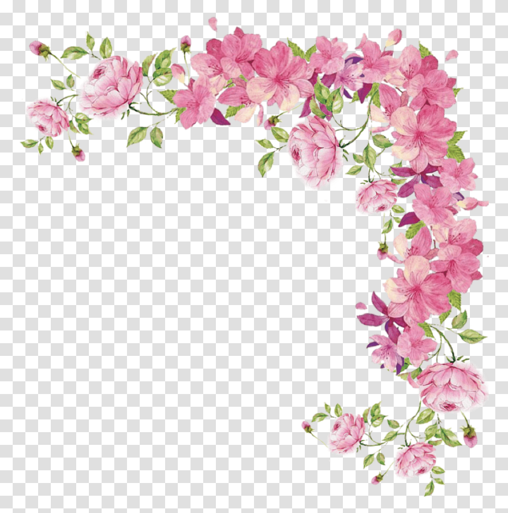 Pink Flowers Rose Background Floral Border, Plant, Blossom, Flower Arrangement, Ornament Transparent Png