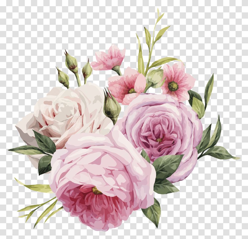 Pink Flowers Rose Color Vector Pink Rose, Plant, Blossom, Flower Bouquet, Flower Arrangement Transparent Png