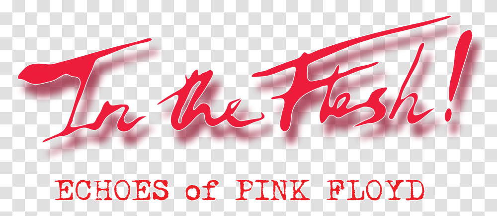 Pink Floyd Band, Label, Logo Transparent Png