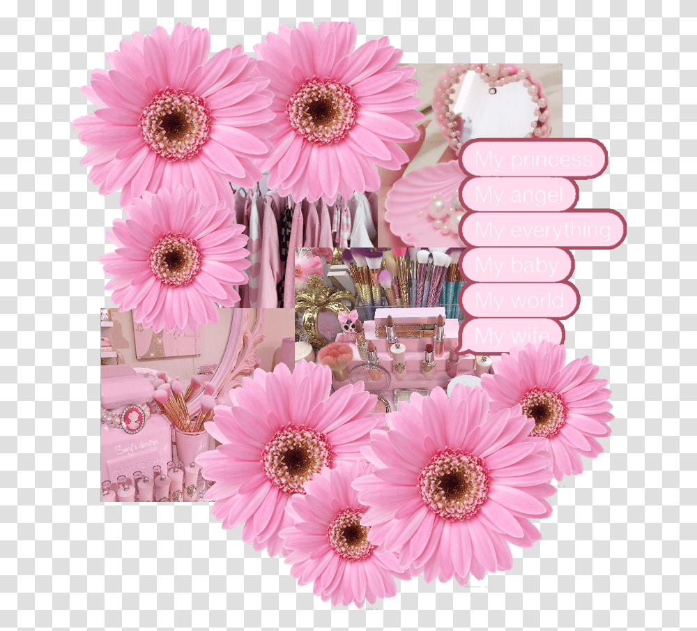 Pink Frame Barberton Daisy, Plant, Flower, Rug, Dahlia Transparent Png