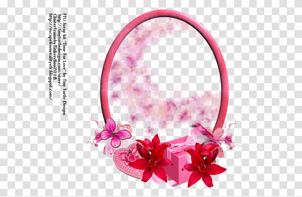 Pink Frame Cluster Hd Download Download Cattleya, Plant, Flower, Petal, Accessories Transparent Png