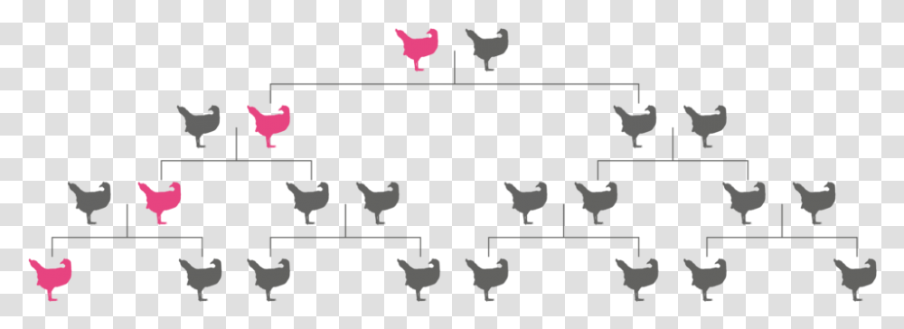 Pink Gene Doesn't Spread Rooster, Silhouette, Jigsaw Puzzle, Game Transparent Png