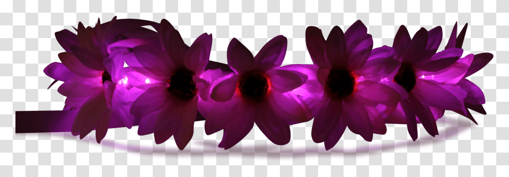 Pink Glowing Flower Crown, Plant, Petal, Pollen, Anther Transparent Png