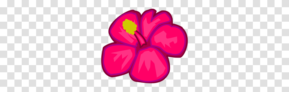 Pink Hawaiian Flower Clip Arts For Web, Plant, Hibiscus, Blossom, Dynamite Transparent Png