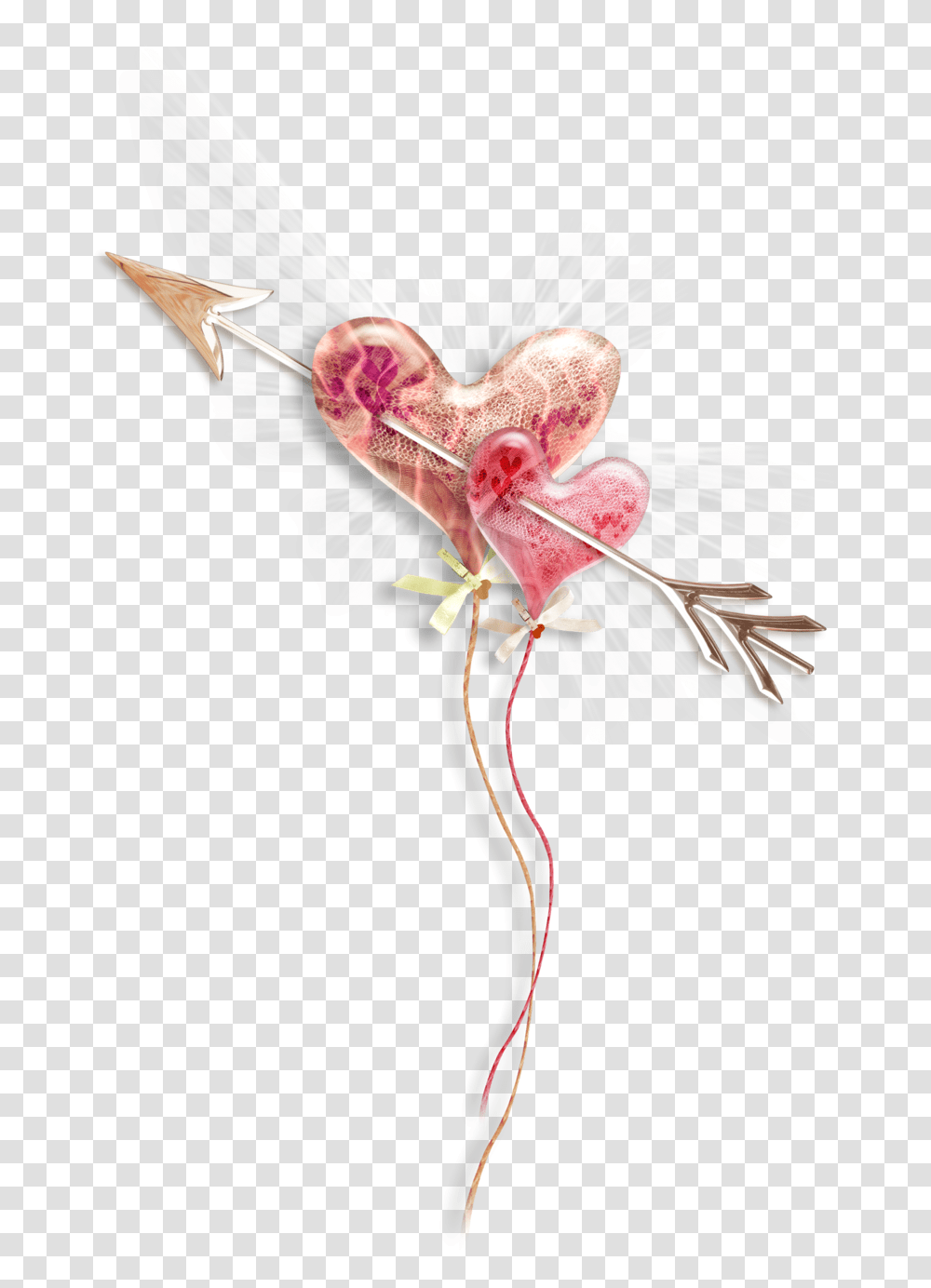 Pink Heart Photography Drawing Free Photo Heart, Bird, Animal, Flower, Plant Transparent Png