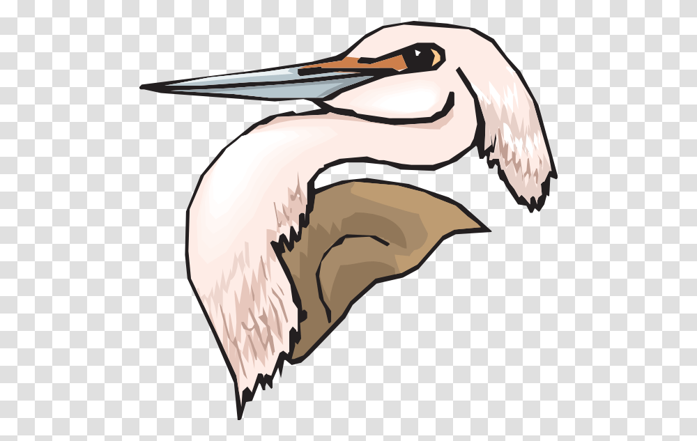 Pink Heron Head Clip Art, Pelican, Bird, Animal, Beak Transparent Png