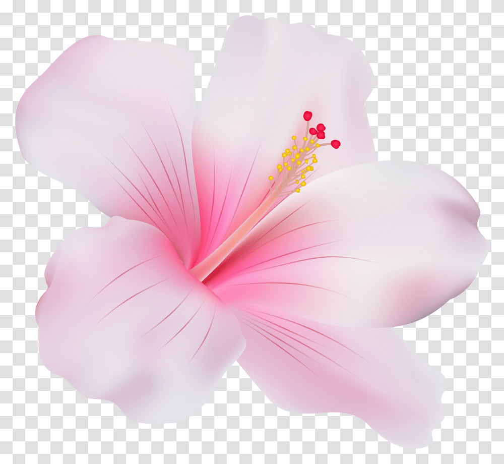 Pink Hibiscus Clip Art Pink Hibiscus Flower Transparent Png